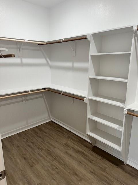 spacious closet with dark hardwood / wood-style floors