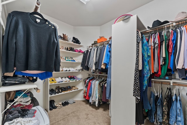 walk in closet with carpet