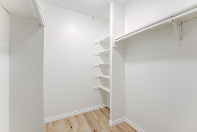 spacious closet featuring wood finished floors