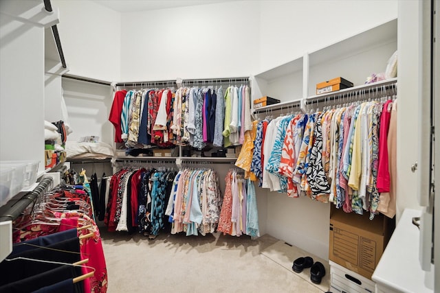 walk in closet featuring carpet flooring