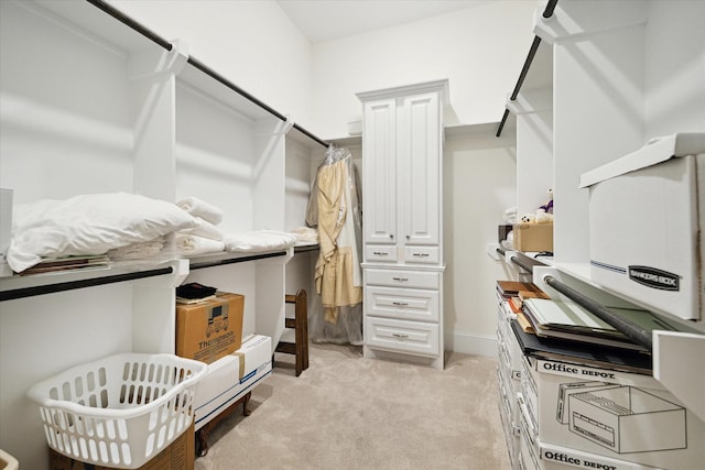 spacious closet with light carpet