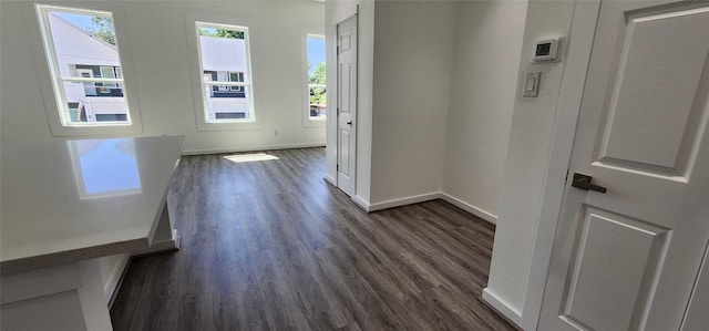 foyer featuring dark hardwood / wood-style floors