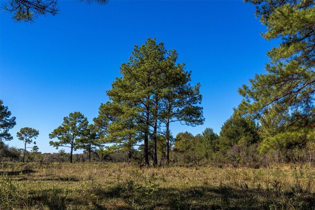 TBD Gentry Rd, Beaumont, TX 77713 - photo 9