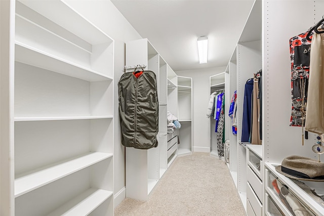 walk in closet featuring carpet flooring