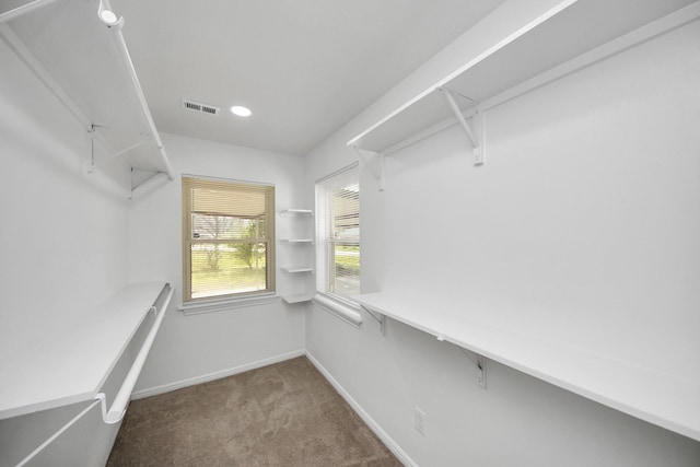 spacious closet with carpet