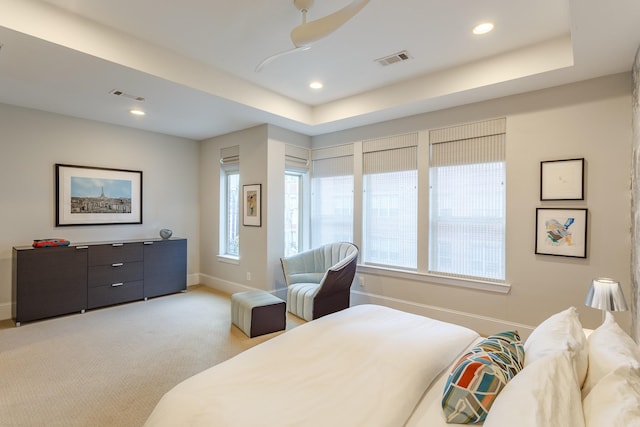 bedroom featuring light colored carpet and a raised ceiling