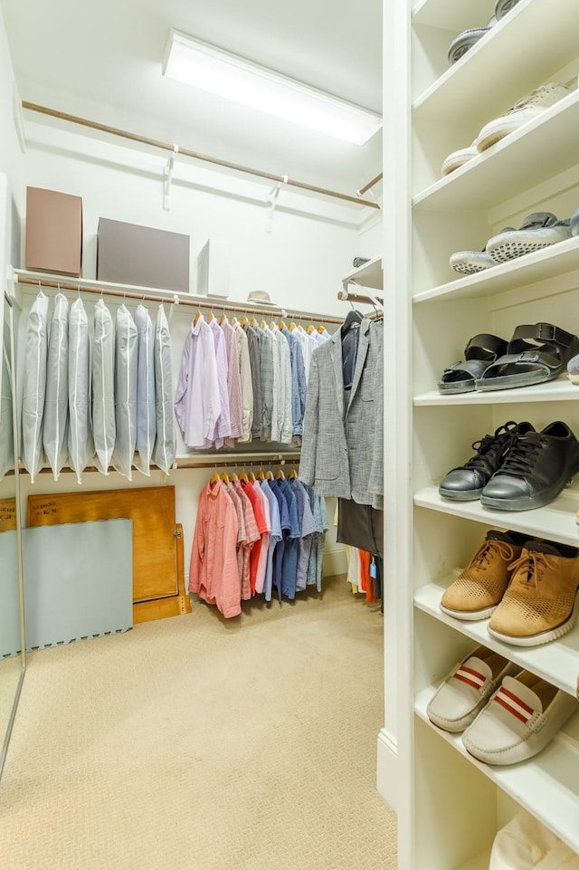 walk in closet featuring carpet