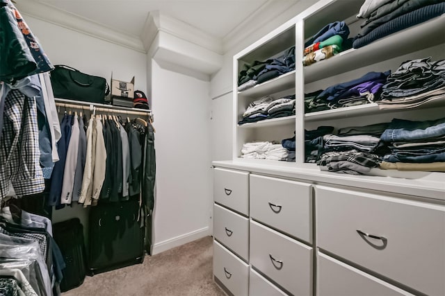 spacious closet with light colored carpet