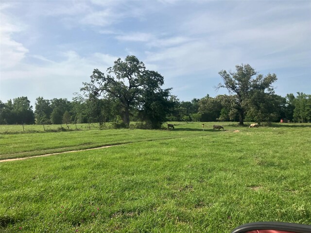 783 Fm 977 E, Leona, TX 75850