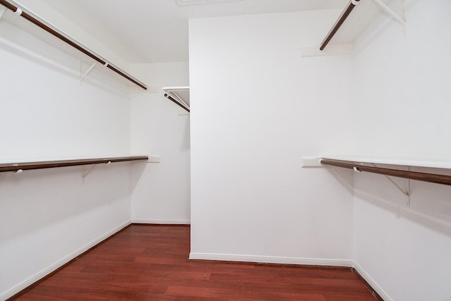 walk in closet featuring dark hardwood / wood-style flooring