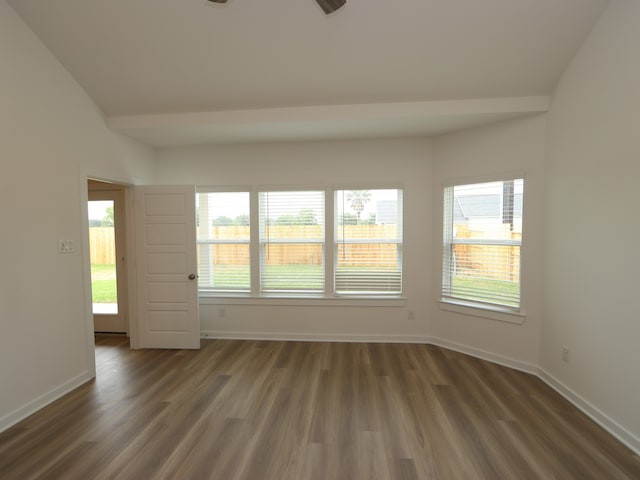 31907 Splendor Dr, Fulshear, TX 77441 - spare room featuring a ceiling fan, dark wood-style floors, and healthy amount of natural light