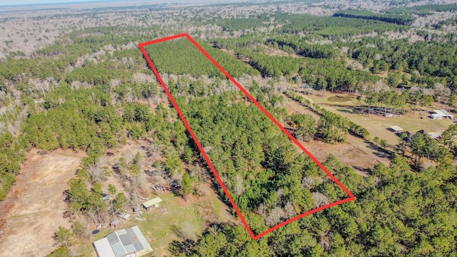 477 County Line Rd, Shepherd TX, 77371 land for sale