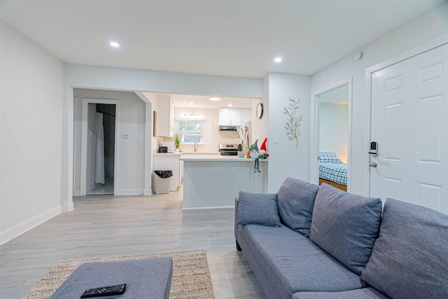 living room featuring light wood-type flooring