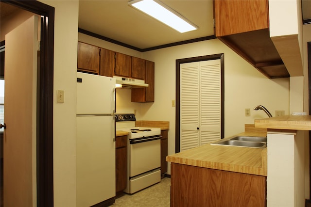 418 Garland Dr Unit 222, Lake Jackson, TX 77566 - kitchen with white appliances, under cabinet range hood, light countertops, and a sink