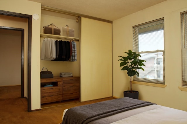 418 Garland Dr Unit 222, Lake Jackson, TX 77566 - carpeted bedroom with a closet