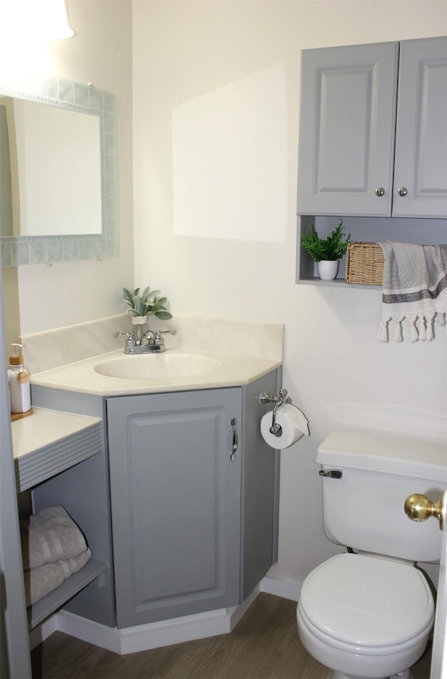 bathroom featuring toilet, vanity, and wood-type flooring