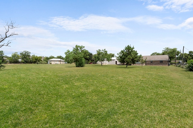 view of yard