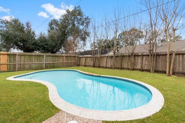 view of swimming pool with a yard