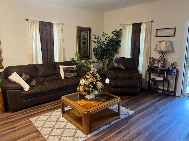 living room with dark hardwood / wood-style floors