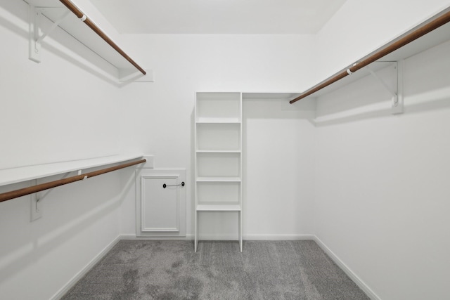 walk in closet featuring light colored carpet