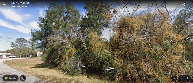 TBD Circle Dr, Liverpool, TX 77577