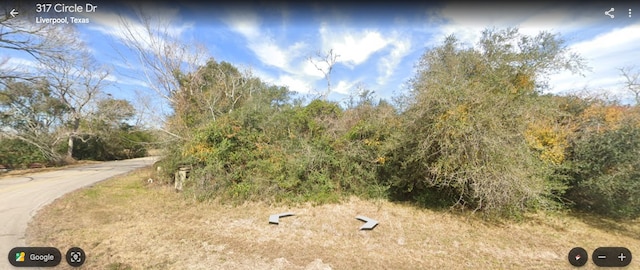 TBD Circle Dr, Liverpool, TX 77577