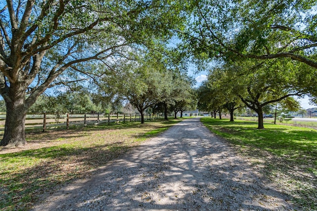 view of street featuring dirt driveway