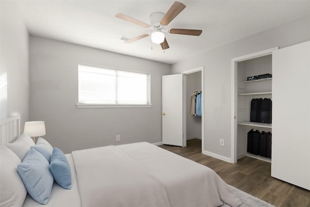 bedroom featuring ceiling fan, a closet, a walk in closet, and dark hardwood / wood-style flooring