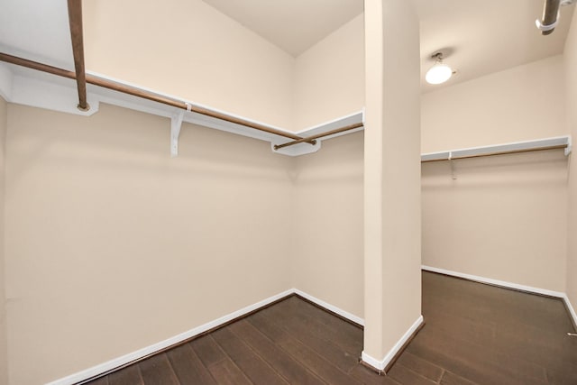 walk in closet with dark hardwood / wood-style floors