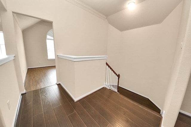 hall with lofted ceiling, dark hardwood / wood-style flooring, and ornamental molding