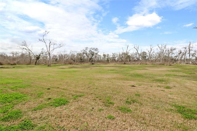 view of yard with a rural view