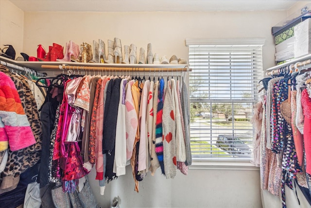 view of spacious closet