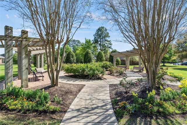 view of community featuring a pergola