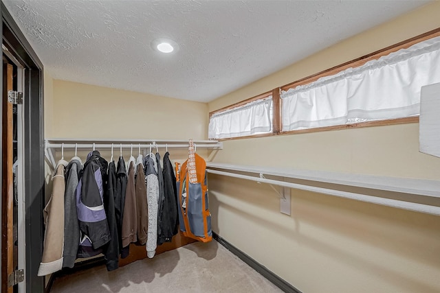 walk in closet with carpet flooring