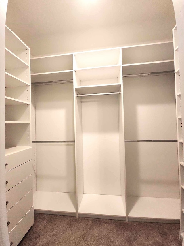 24827 Colony Meadow Trl, Houston, TX 77336 - walk in closet with carpet