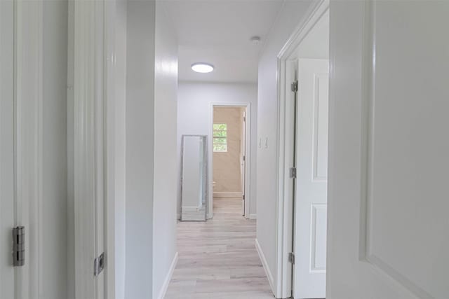 corridor featuring light wood-type flooring