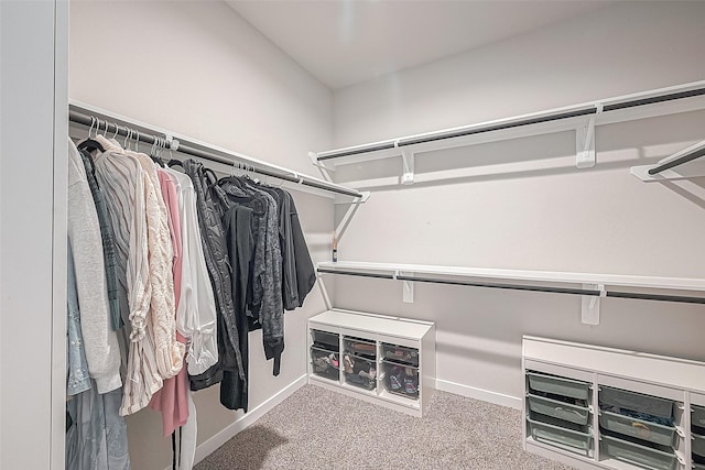 spacious closet featuring carpet flooring