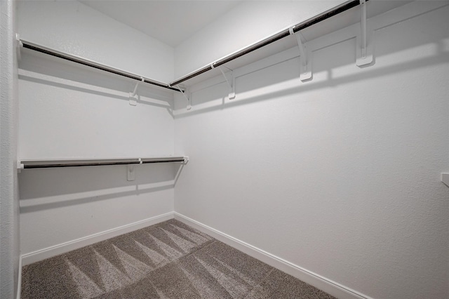 walk in closet with carpet flooring