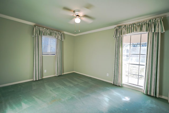 unfurnished room featuring ceiling fan, carpet flooring, and crown molding