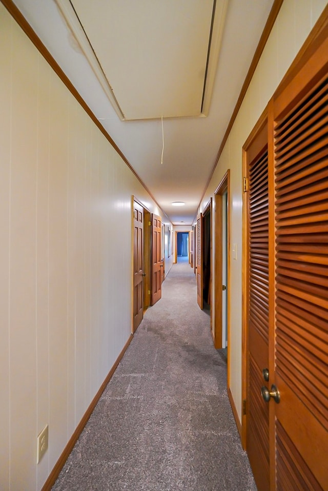 hall featuring ornamental molding and carpet