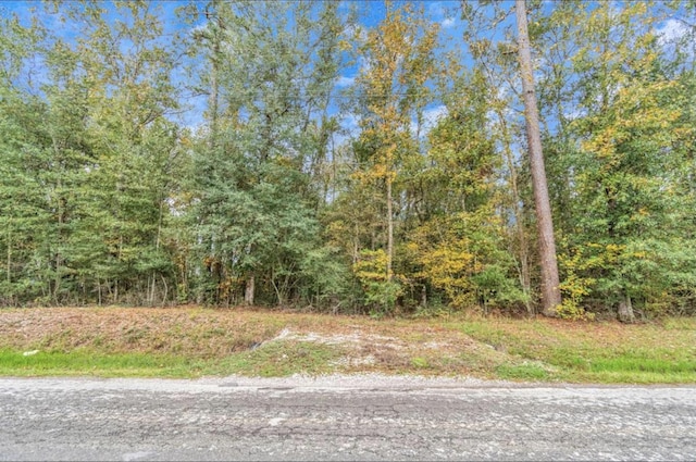 2330 County Road 2252, Cleveland, TX 77327 - photo 5