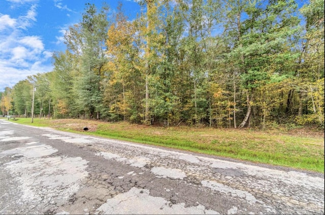 2330 County Road 2252, Cleveland, TX 77327 - photo 6