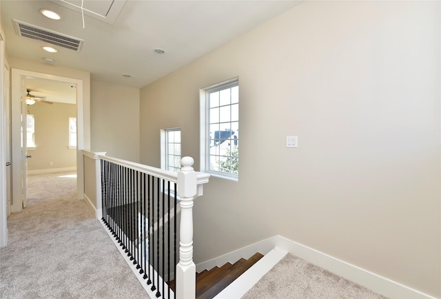 stairs with carpet floors