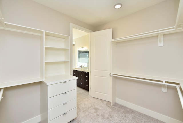 spacious closet featuring sink and light carpet