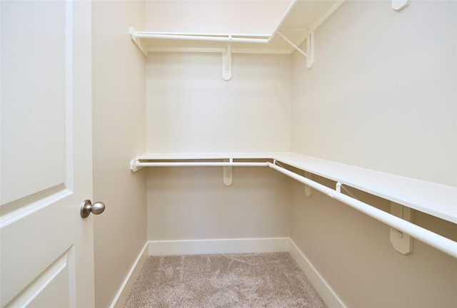 spacious closet with light carpet