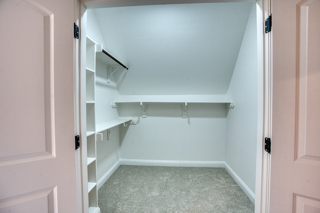 spacious closet with light carpet