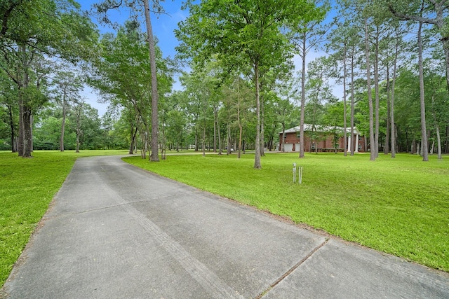 exterior space with a lawn