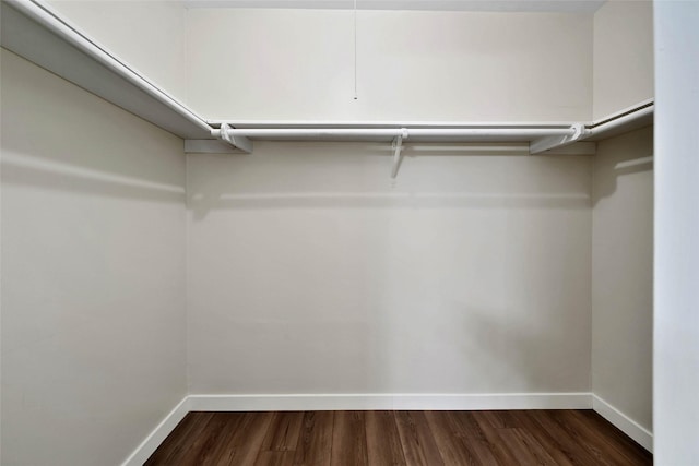 spacious closet featuring dark wood-style floors