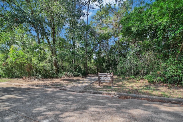 view of road featuring curbs and a wooded view