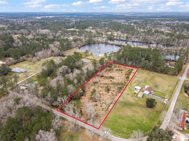 12132 Pelt Rd, Kountze TX, 77625 land for sale